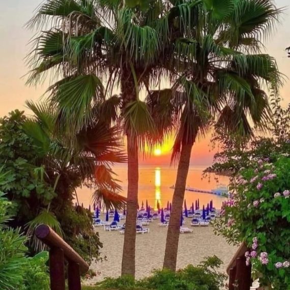 WhatsApp Image 2025-06-12 at 16.45.50_fe07e157